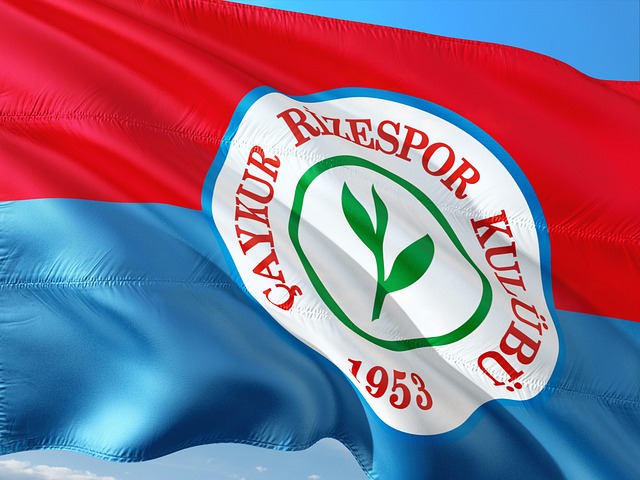 3战全胜！杨舒予9助攻卫冕冠军广东女篮大胜浙江 周琪22+6三分